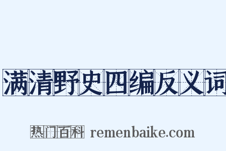 满清野史四编反义词是什么意思的图片